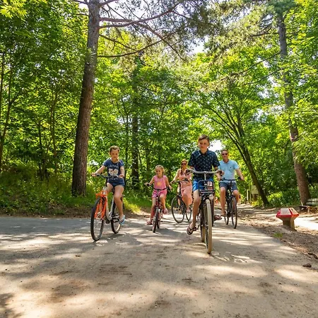 Europarcs Parc Du Soleil